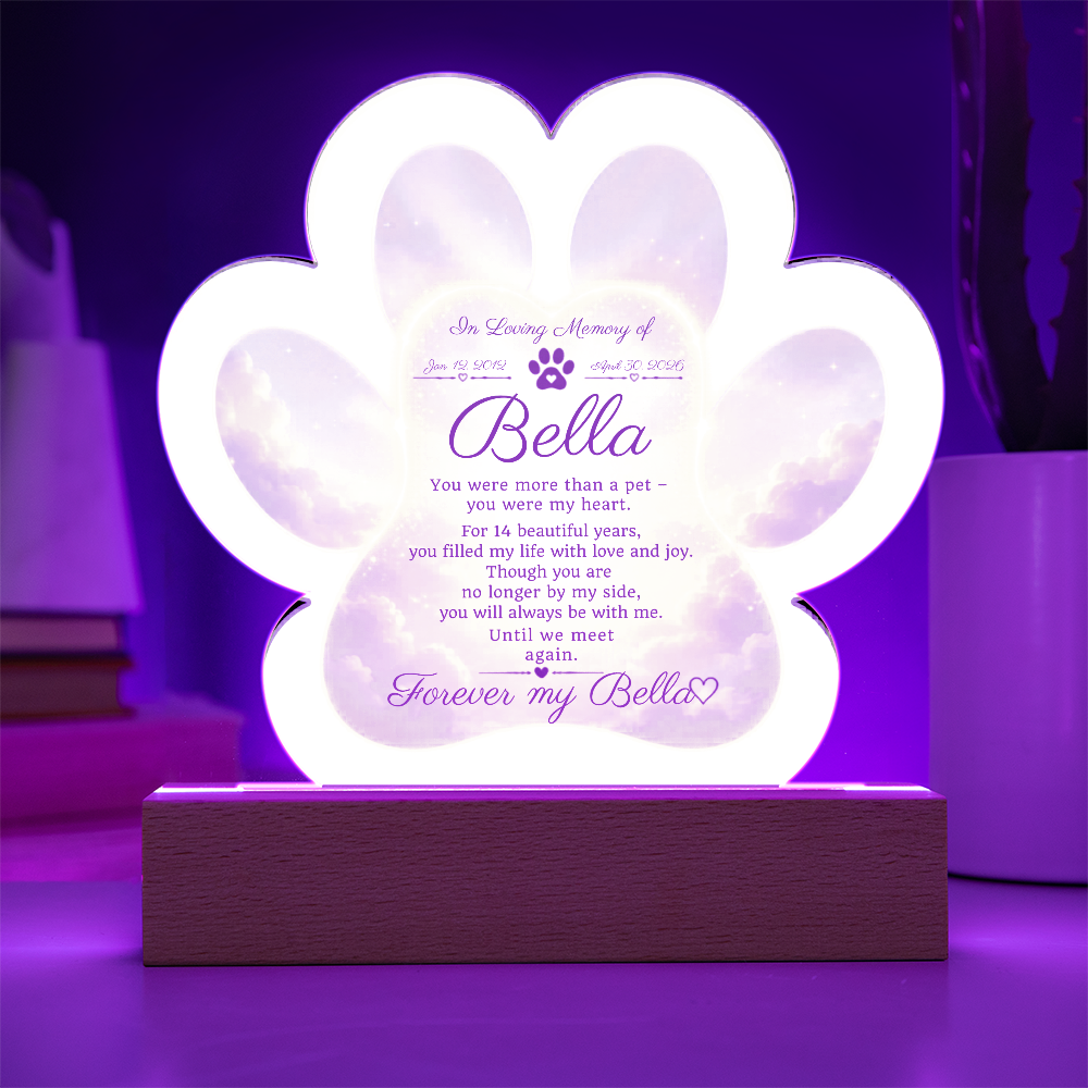 Paw Print Memorial Acrylic Plaque | Pet Loss Gift | Dog Remembrance Light | Sympathy Gift for Loss of Pet | LED Keepsake