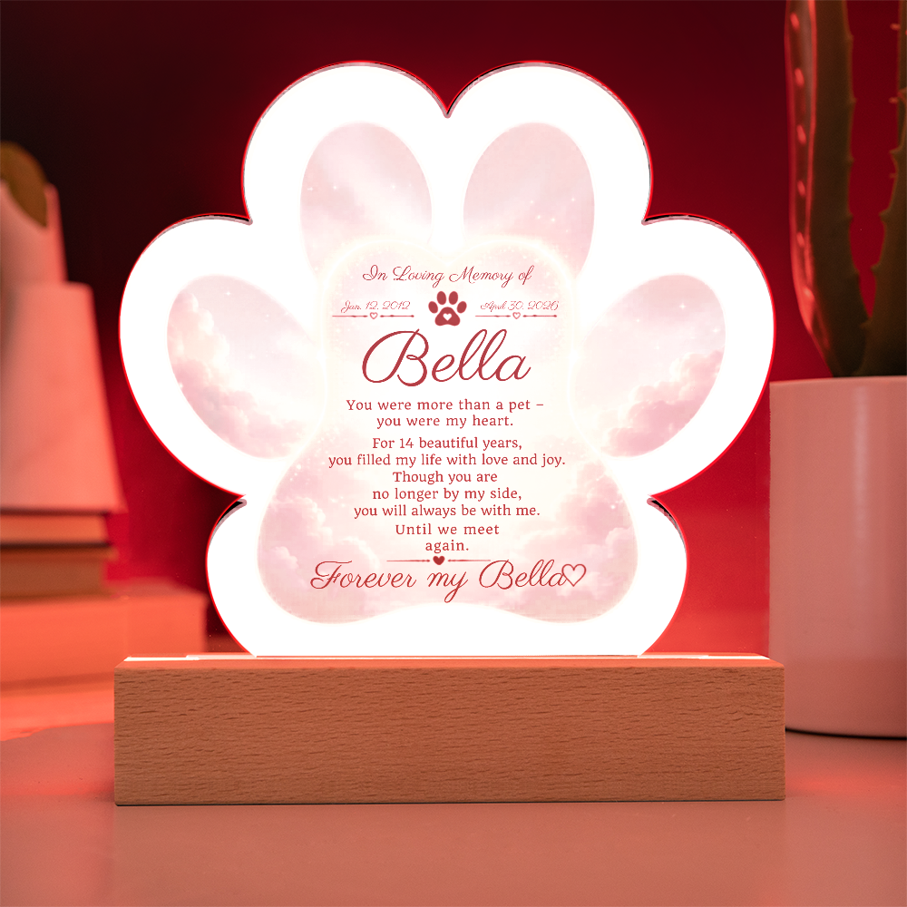 Paw Print Memorial Acrylic Plaque | Pet Loss Gift | Dog Remembrance Light | Sympathy Gift for Loss of Pet | LED Keepsake