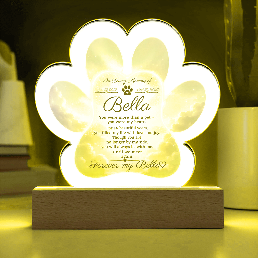 Paw Print Memorial Acrylic Plaque | Pet Loss Gift | Dog Remembrance Light | Sympathy Gift for Loss of Pet | LED Keepsake